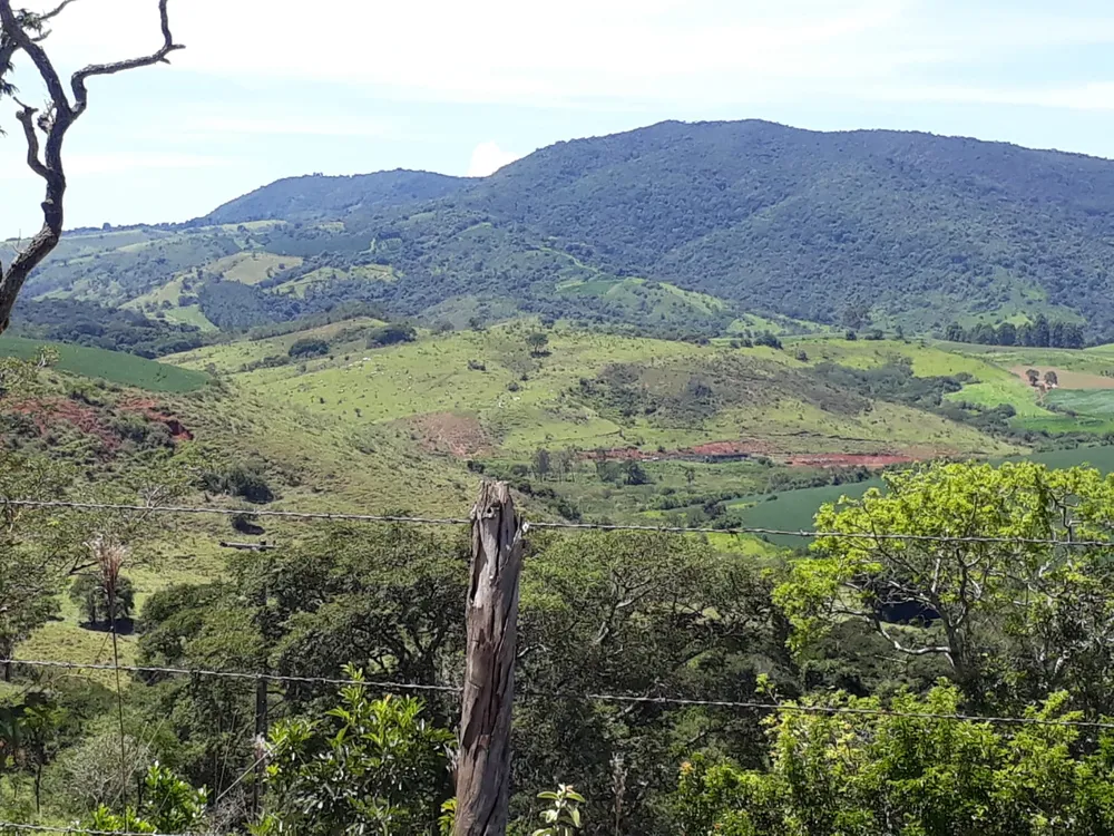 Fazenda, 365 hectares - Foto 4