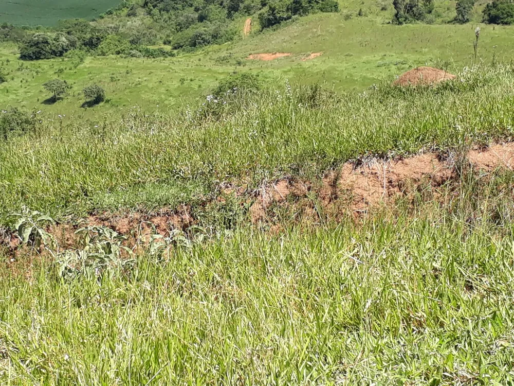 Fazenda, 365 hectares - Foto 5