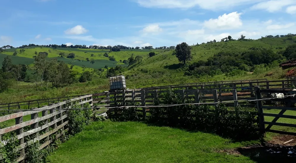 Fazenda, 365 hectares - Foto 3