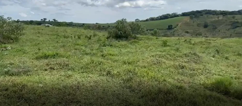 Fazenda, 365 hectares - Foto 7