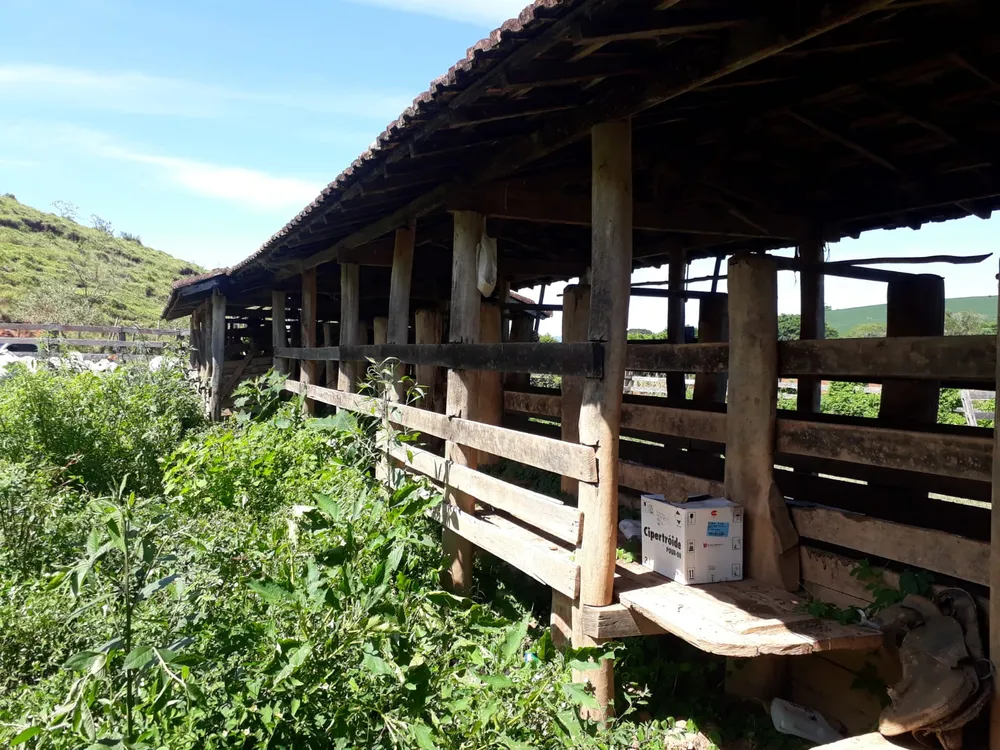 Fazenda, 365 hectares - Foto 14