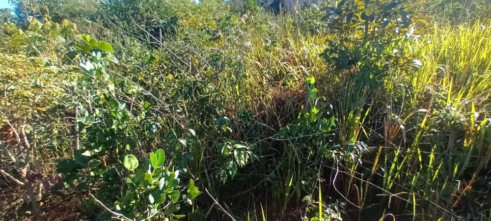 Terreno, 360 m² - Foto 6