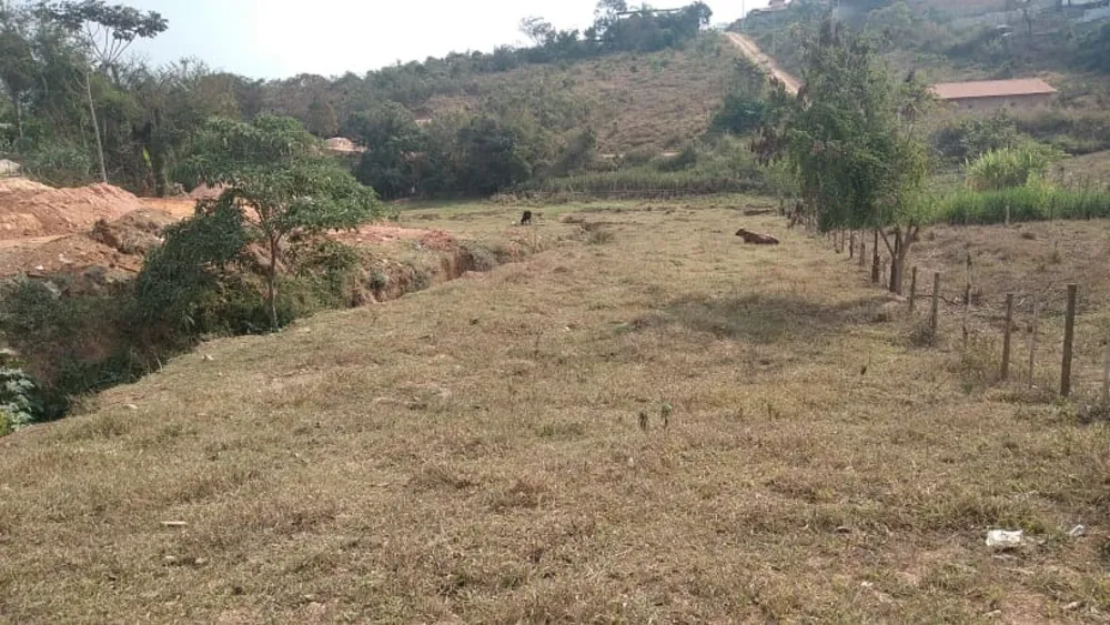 Terreno, 100 m² - Foto 5