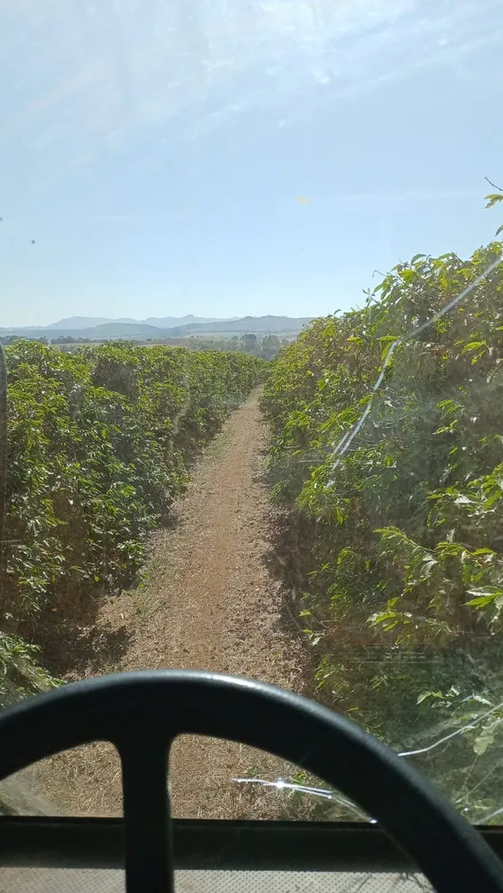 Fazenda, 3 quartos - Foto 4