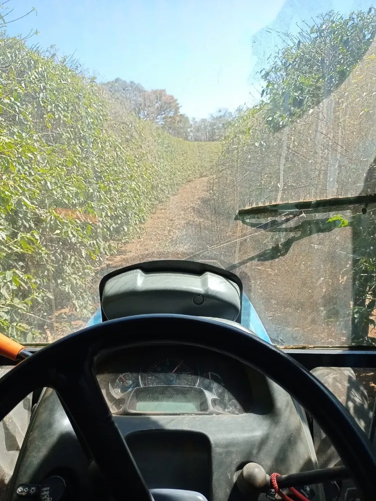Fazenda, 3 quartos - Foto 6