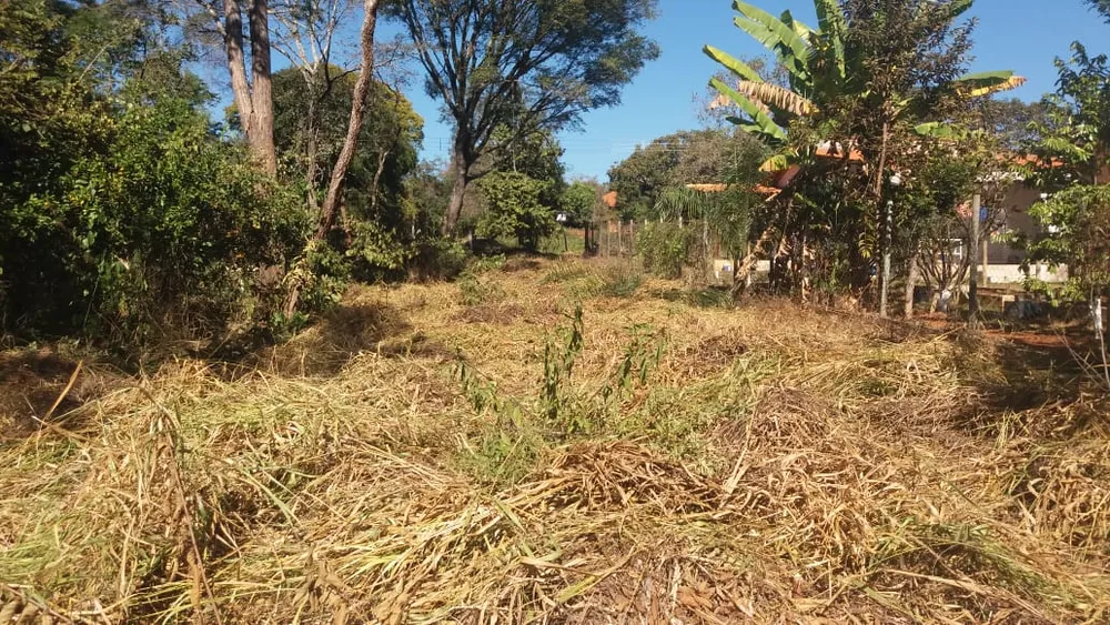 Terreno, 1000 m² - Foto 4