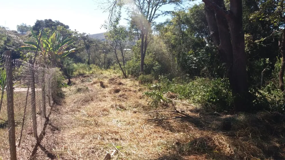 Terreno, 1000 m² - Foto 6