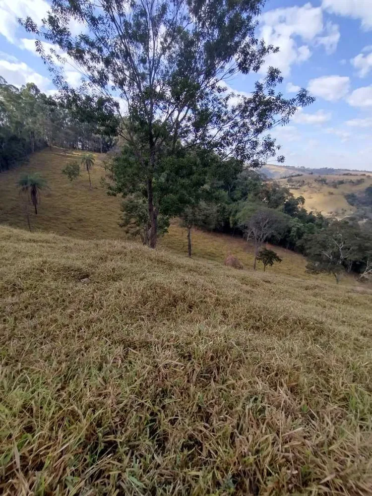 Terreno, 2 hectares - Foto 9