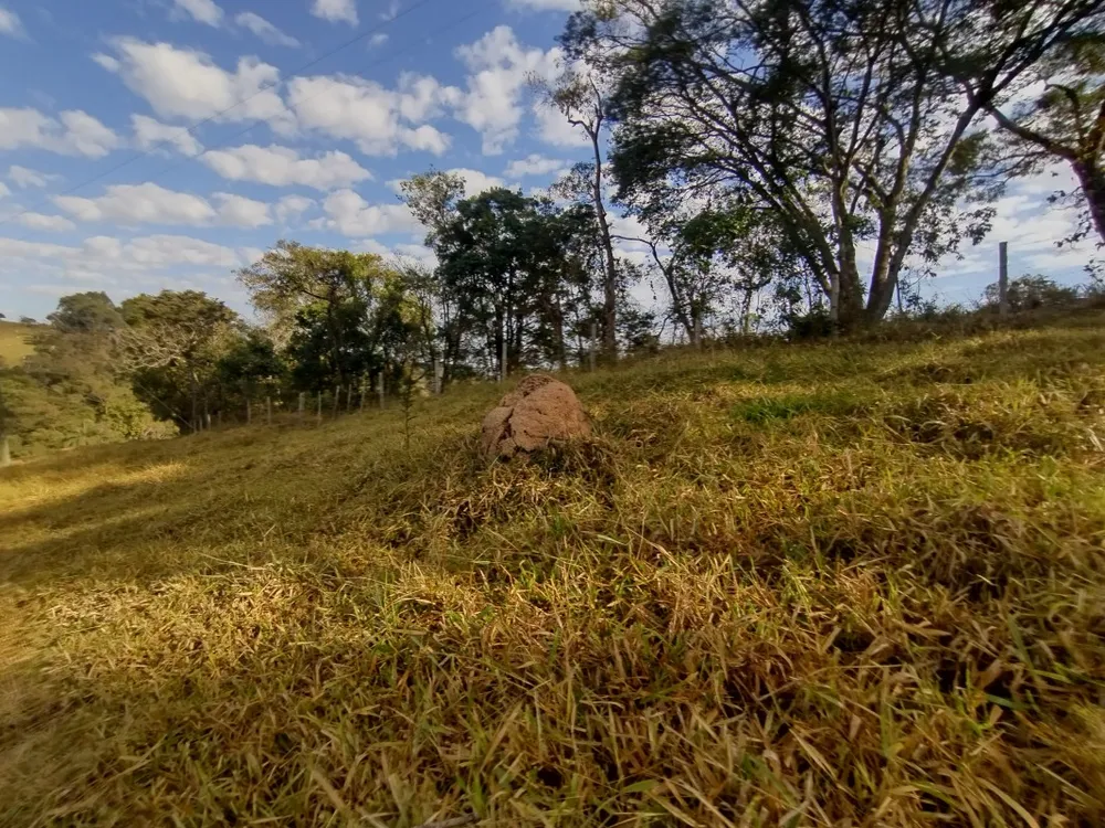 Terreno, 2 hectares - Foto 7