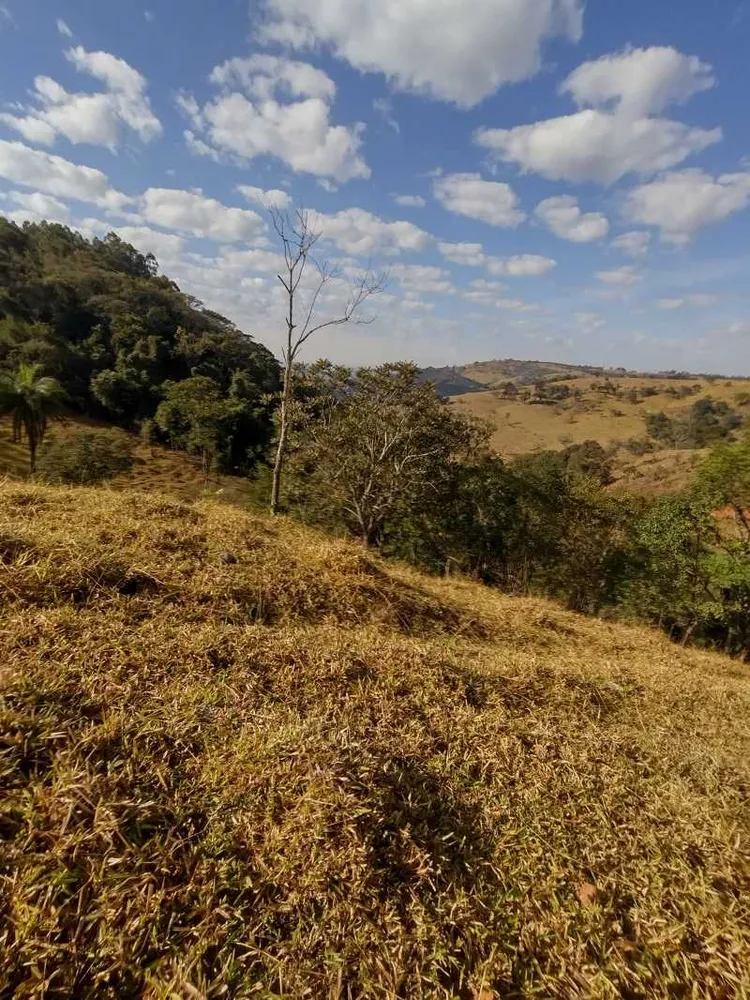 Terreno, 2 hectares - Foto 1