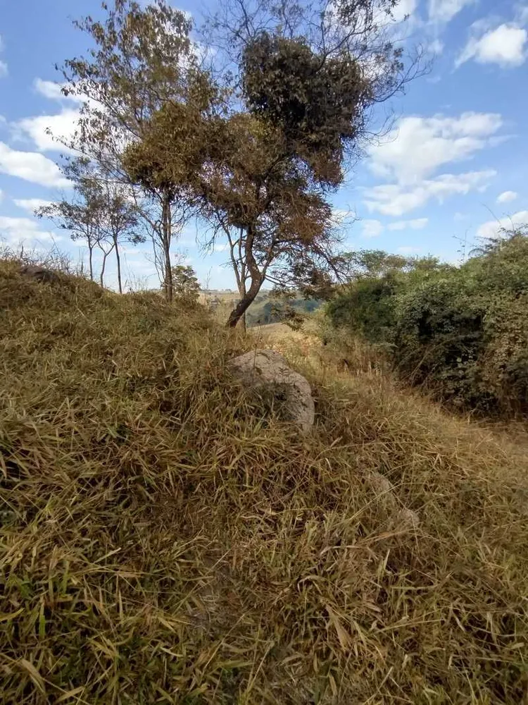 Terreno, 2 hectares - Foto 23