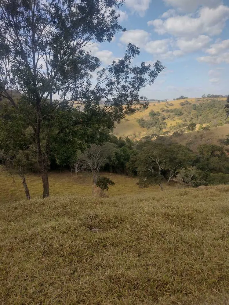Terreno, 2 hectares - Foto 4
