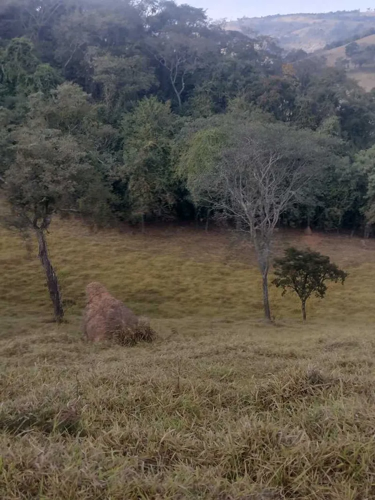 Terreno, 2 hectares - Foto 11
