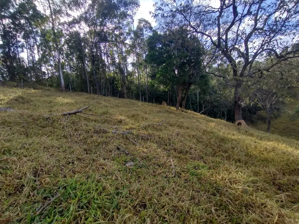 Terreno, 2 hectares - Foto 6