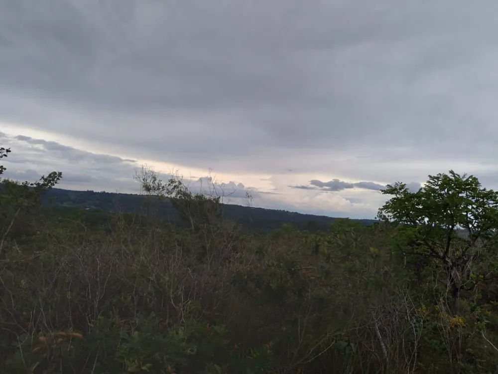 Terreno, 5000 m² - Foto 6