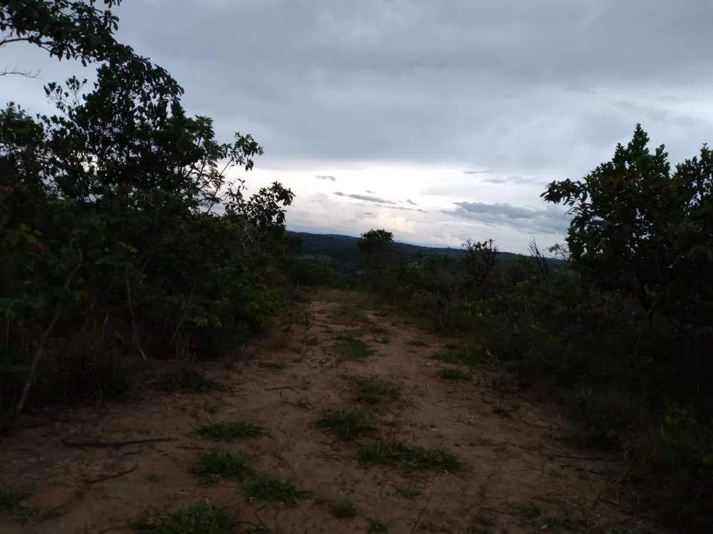 Terreno, 5000 m² - Foto 5