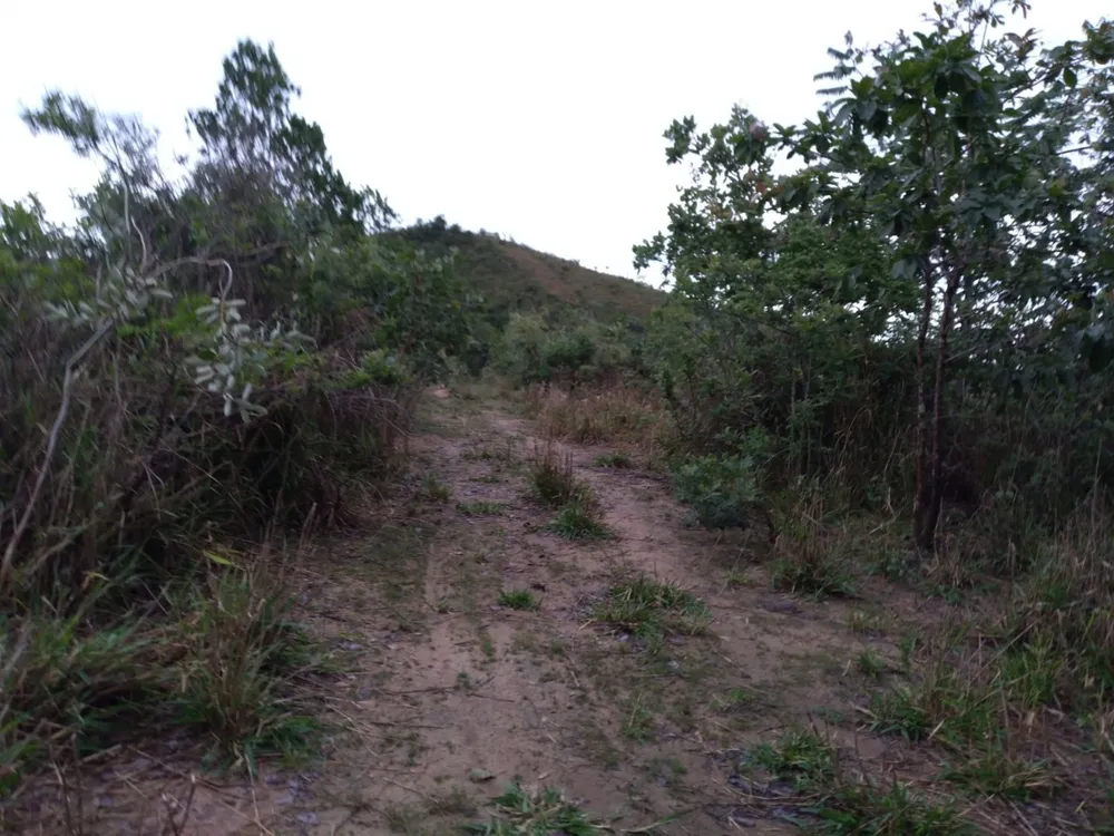 Terreno, 5000 m² - Foto 2