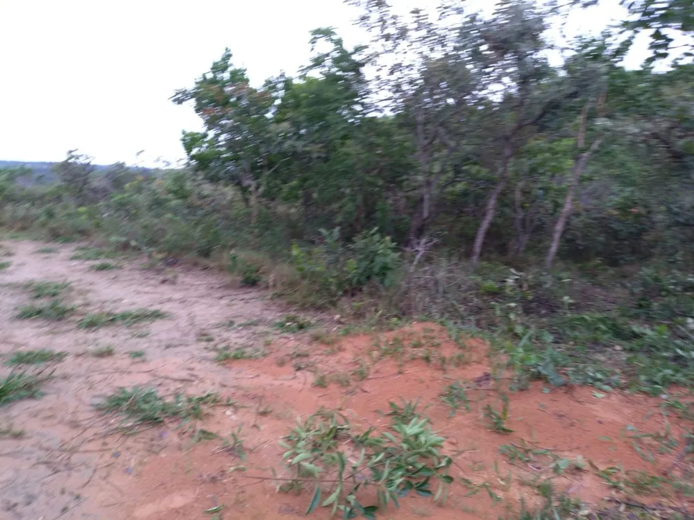 Terreno, 5000 m² - Foto 3