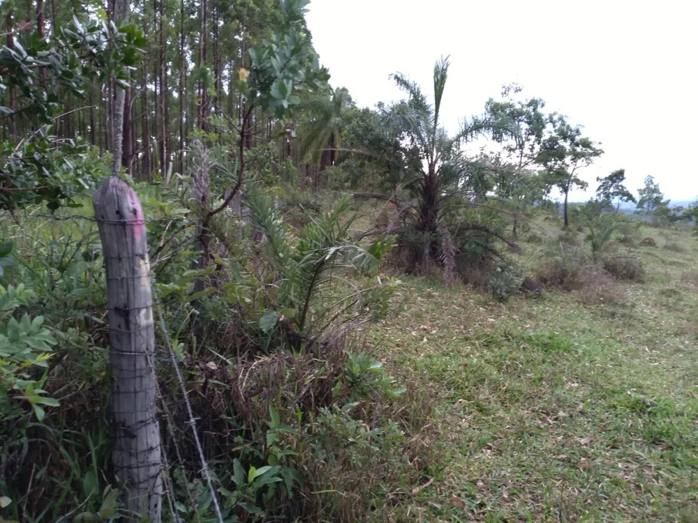 Terreno, 5000 m² - Foto 8