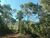 Terreno, 20000 m² - Foto 2