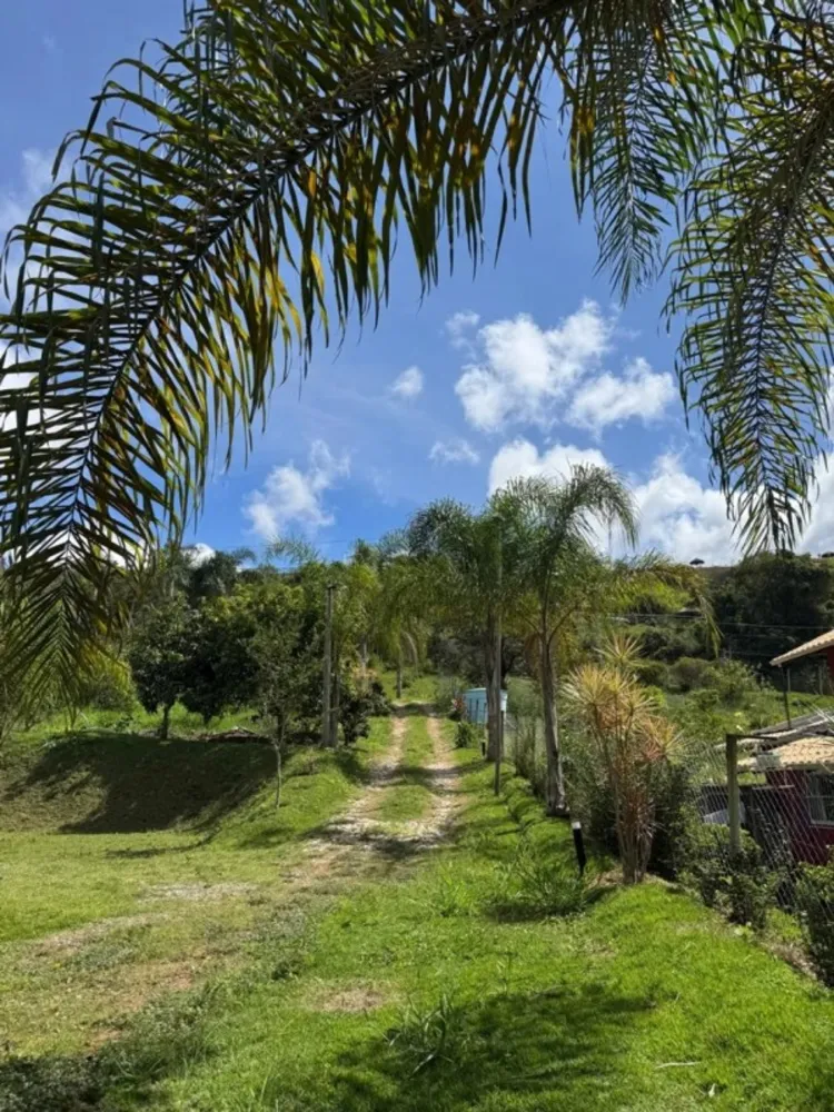 Chácara, 3 quartos, 3000 m² - Foto 5
