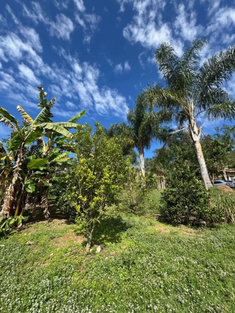 Chácara, 3 quartos, 3000 m² - Foto 4