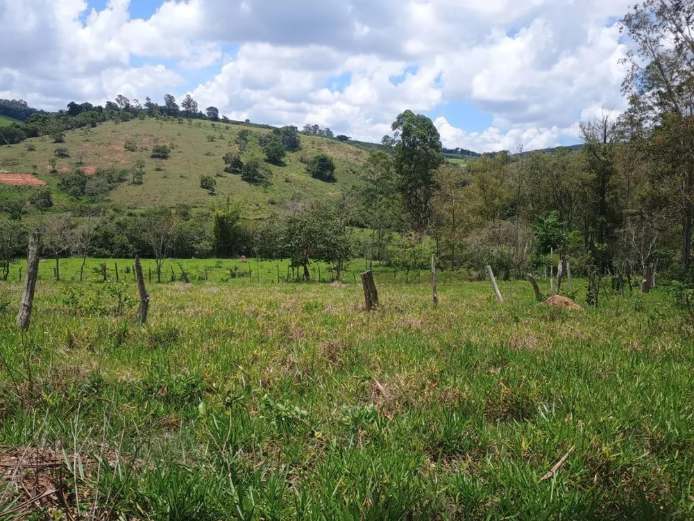 Terreno, 53000 m² - Foto 7