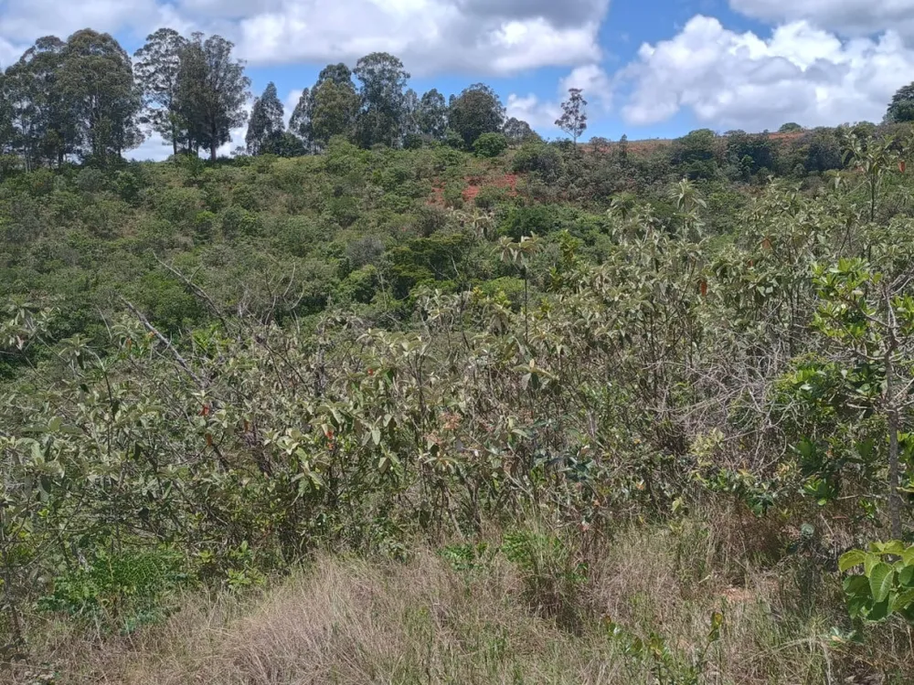 Terreno, 53000 m² - Foto 4