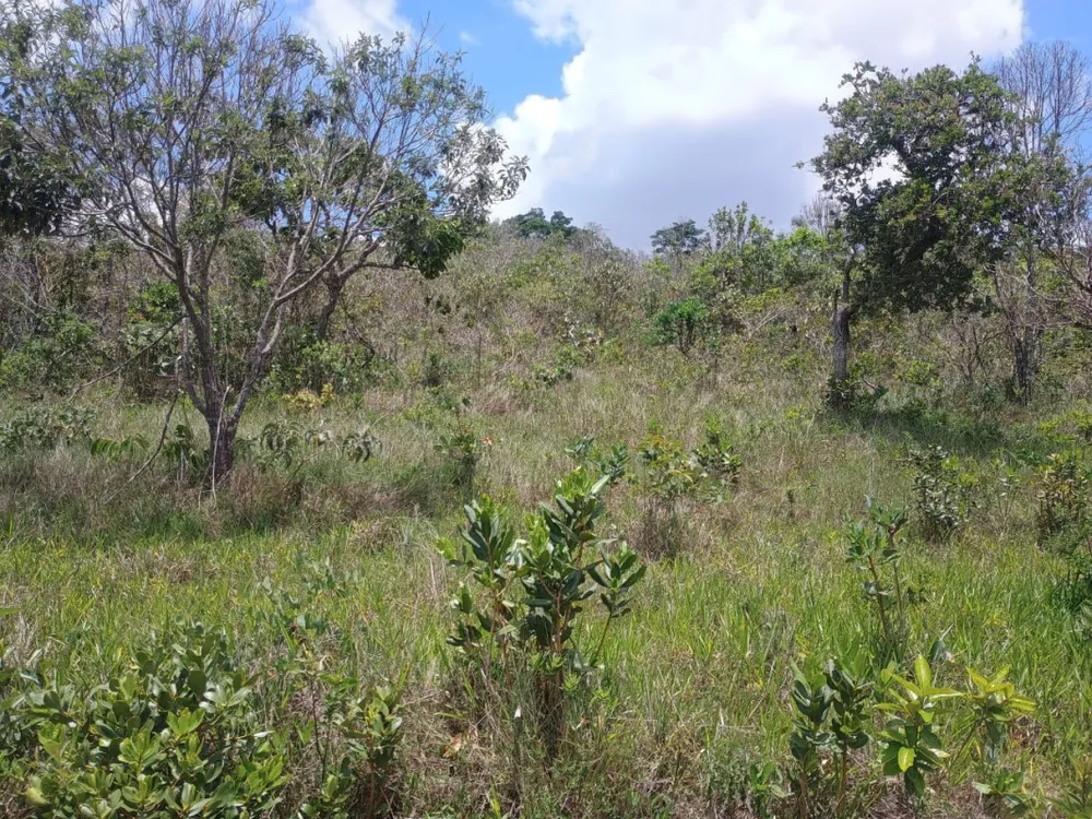 Terreno, 53000 m² - Foto 8