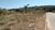 Terreno, 360 m² - Foto 4