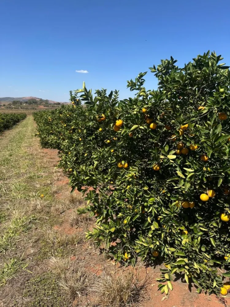 Fazenda, 1 quarto - Foto 5