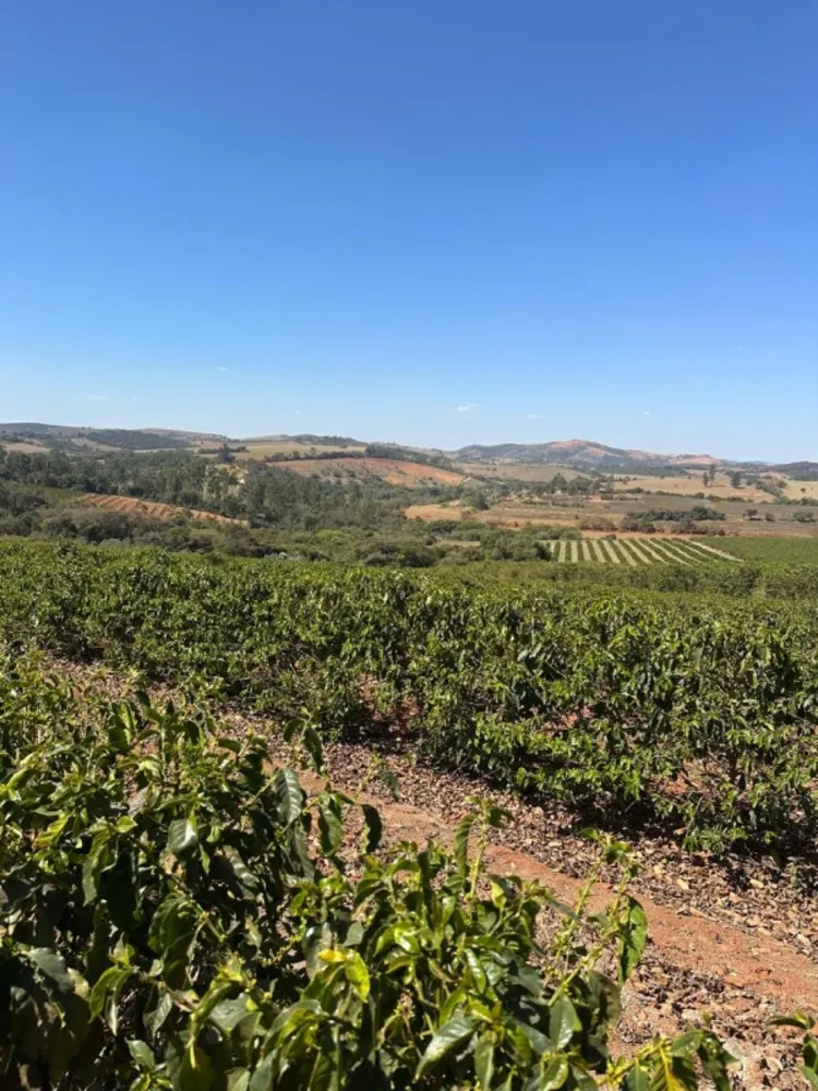 Fazenda, 1 quarto - Foto 1
