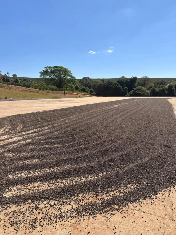 Fazenda, 1 quarto - Foto 2