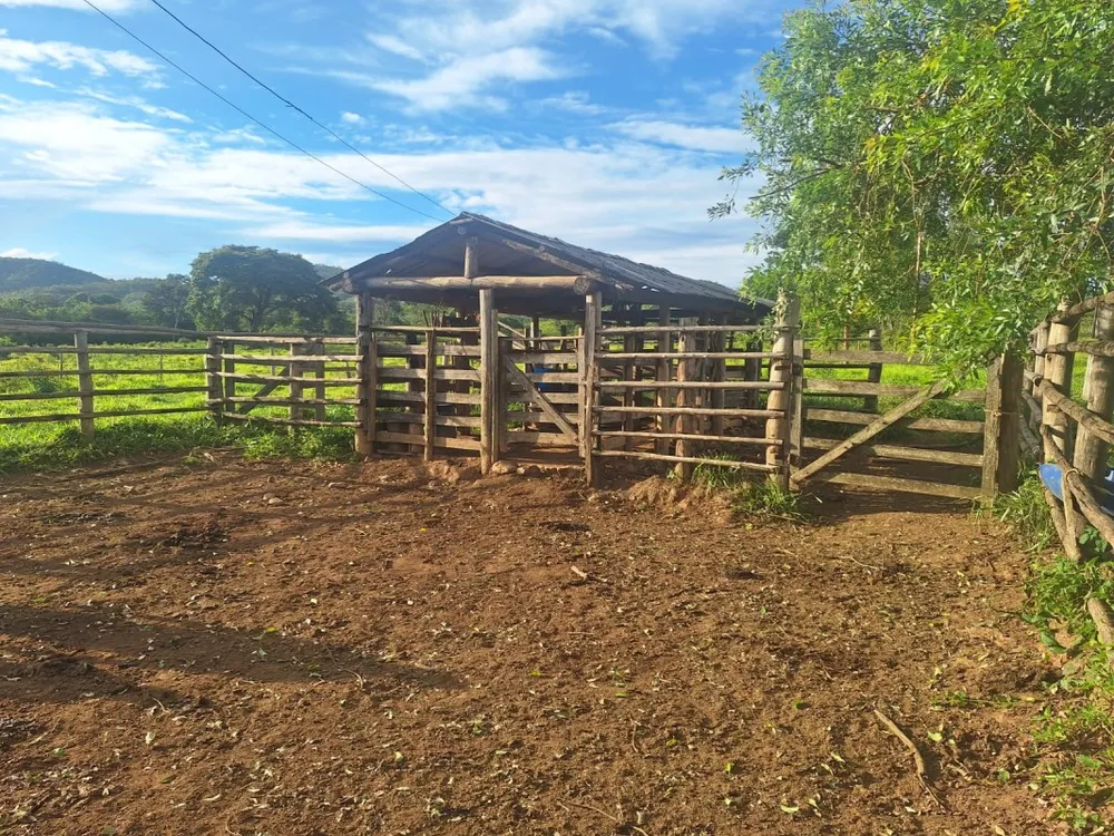Fazenda, 1 hectares - Foto 3