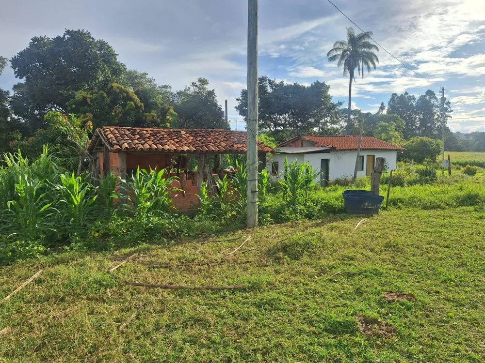 Fazenda, 1 hectares - Foto 7