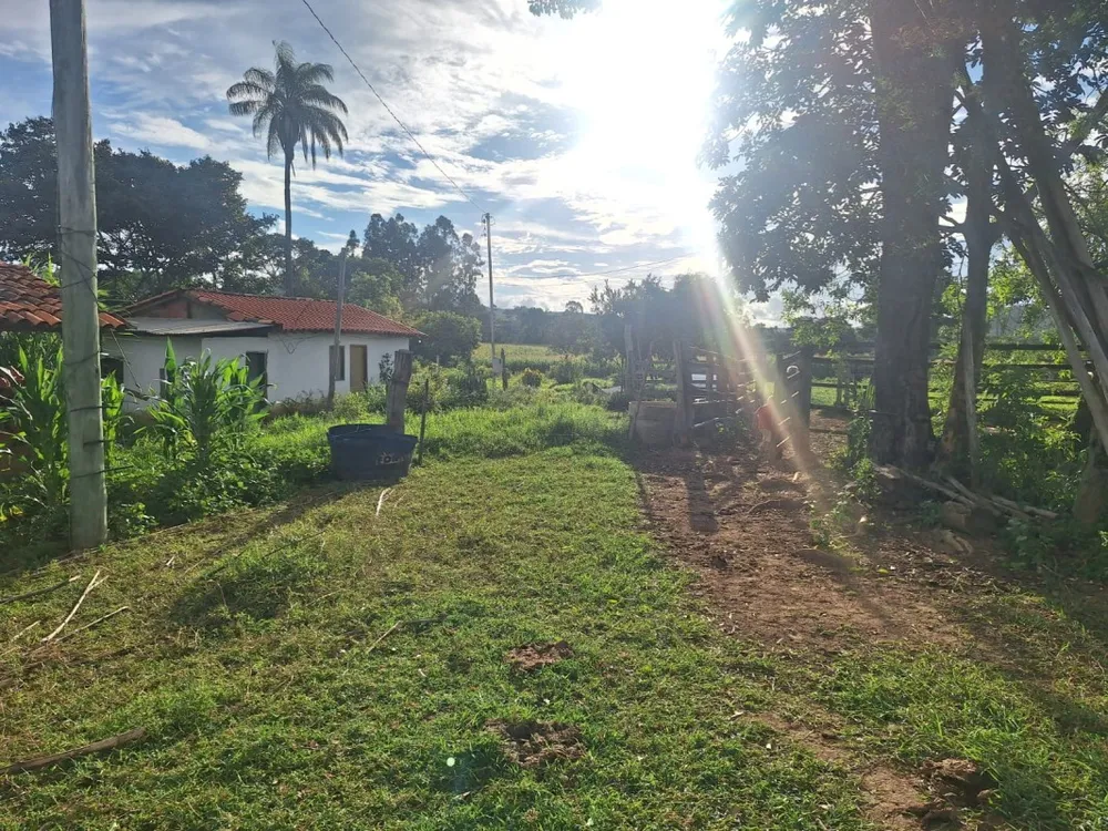 Fazenda, 1 hectares - Foto 2