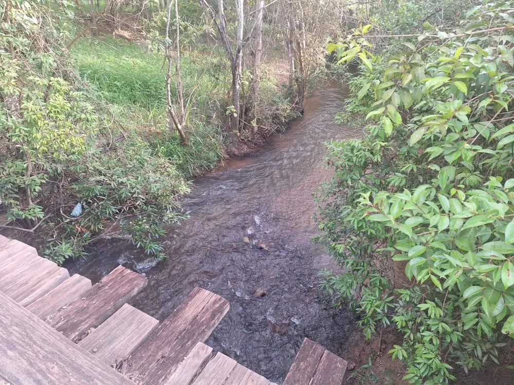 Fazenda, 1 hectares - Foto 4