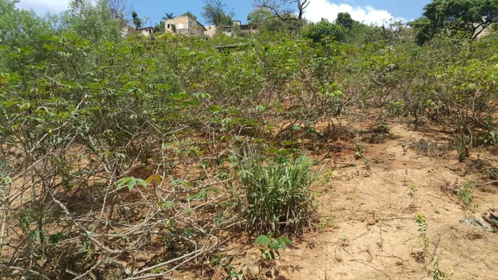 Terreno, 1500 m² - Foto 5