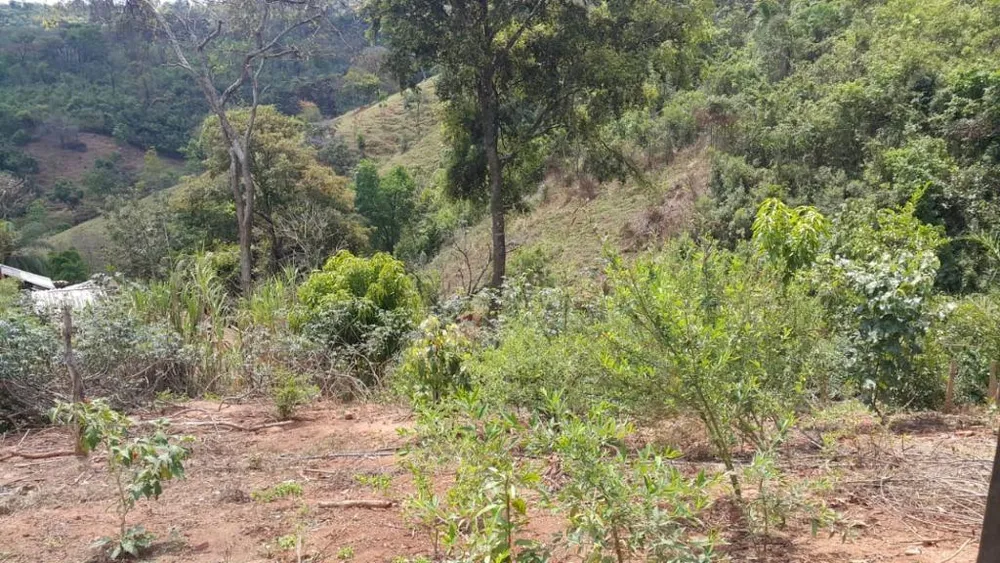 Terreno, 1500 m² - Foto 12