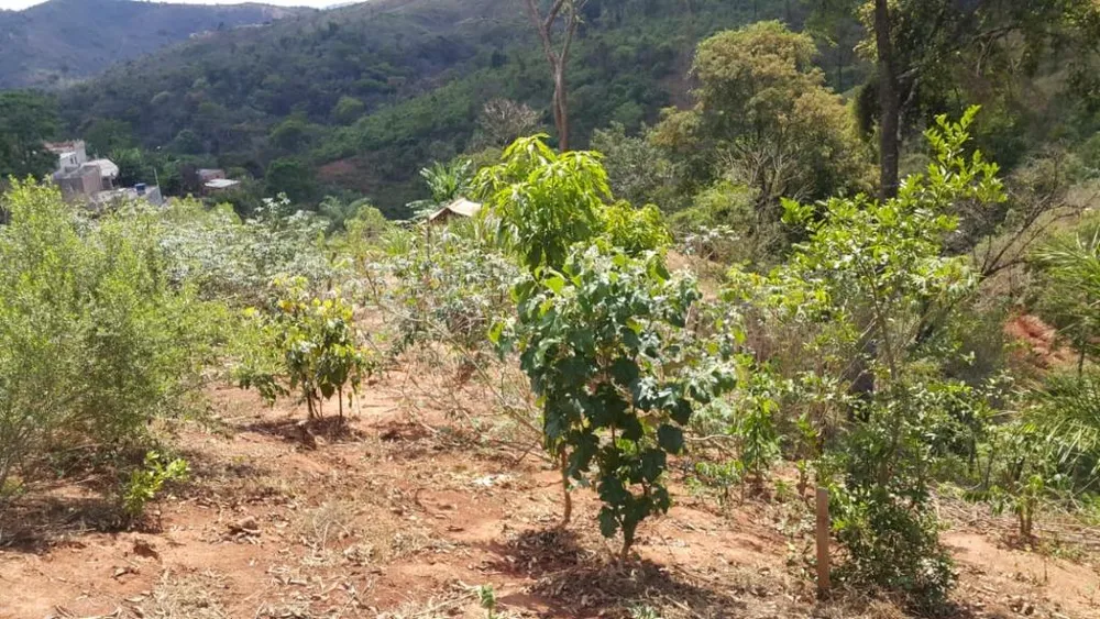Terreno, 1500 m² - Foto 7