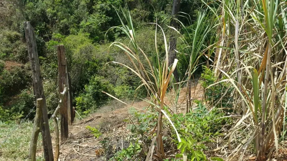 Terreno, 1500 m² - Foto 14
