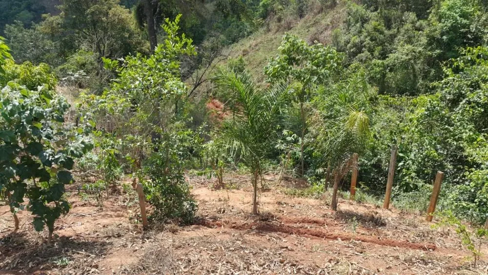 Terreno, 1500 m² - Foto 8