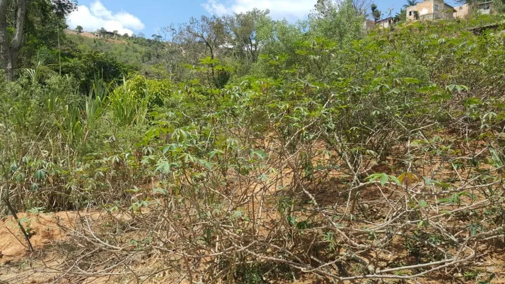 Terreno, 1500 m² - Foto 3