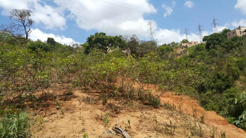 Terreno, 1500 m² - Foto 4