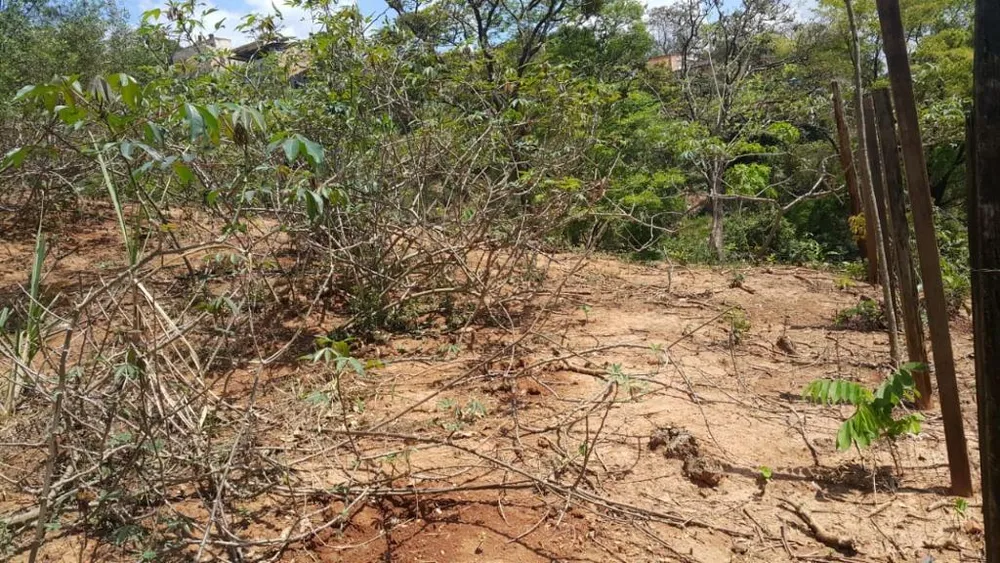 Terreno, 1500 m² - Foto 6