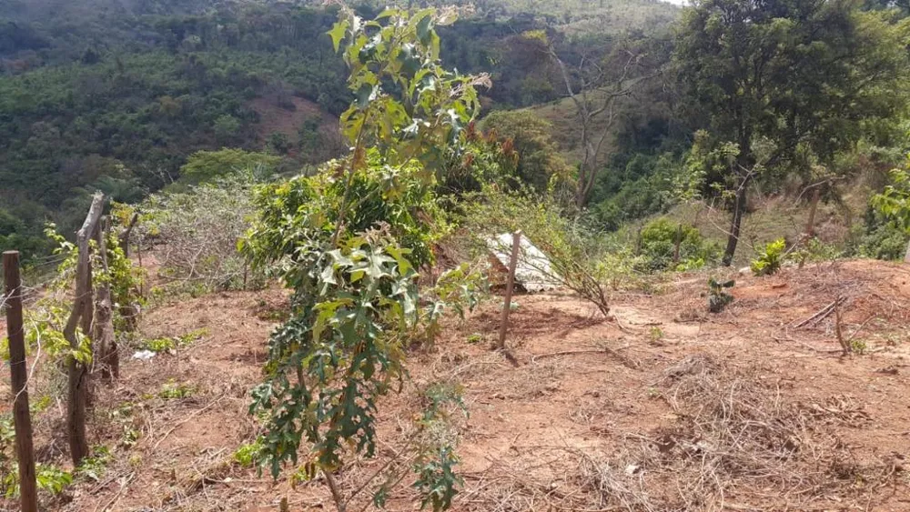 Terreno, 1500 m² - Foto 10