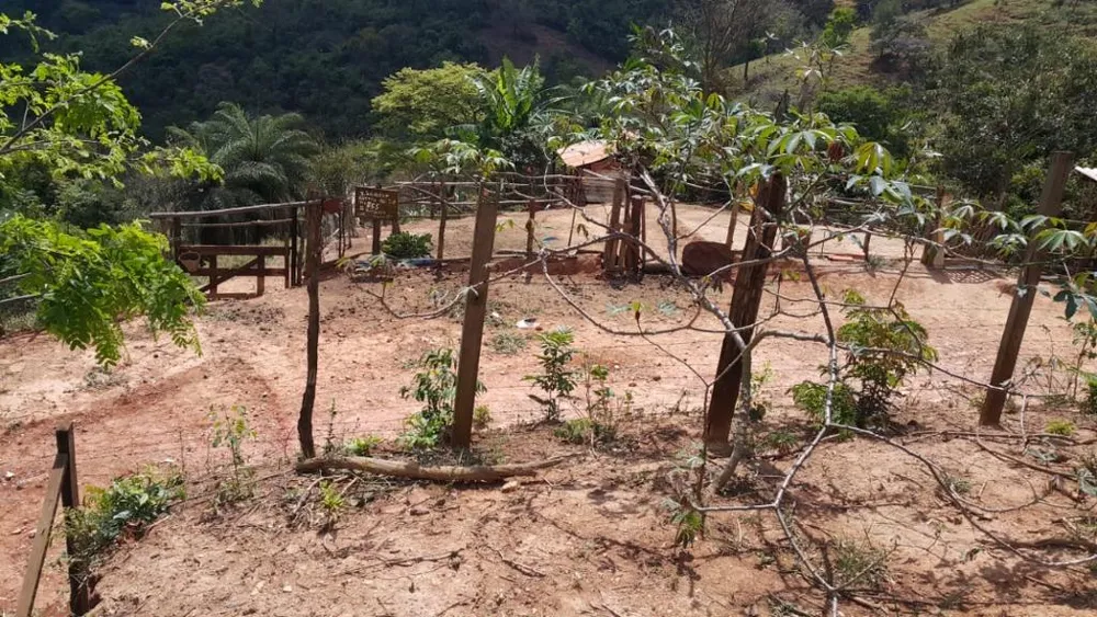 Terreno, 1500 m² - Foto 3