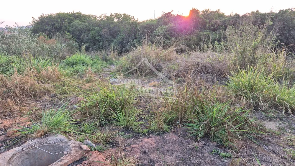 Terreno - Foto 4