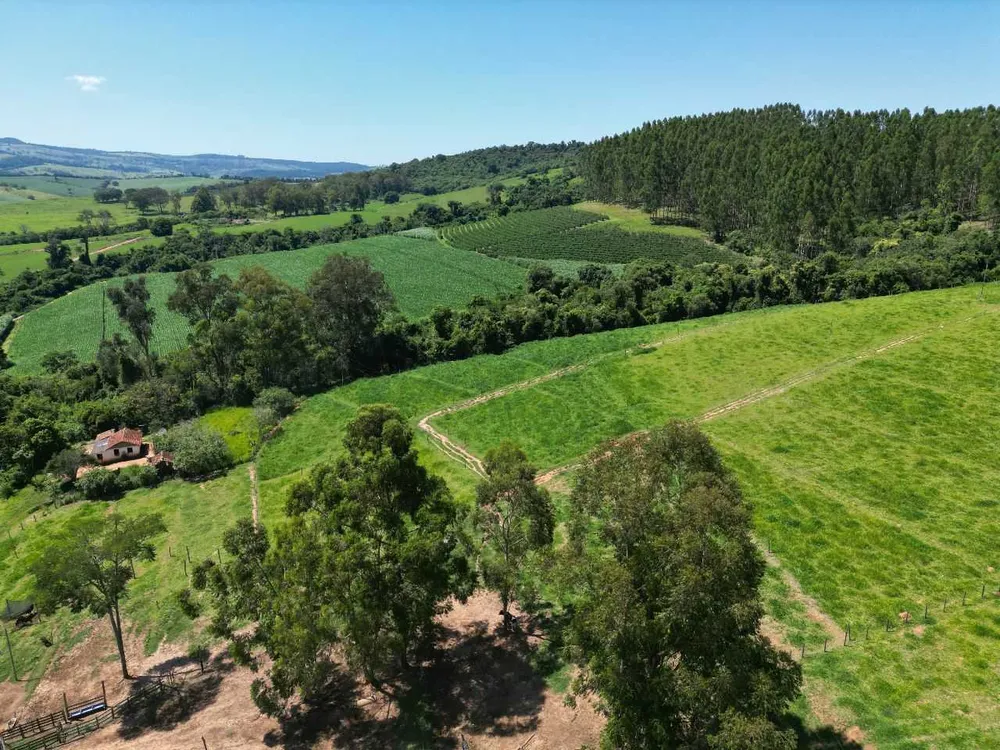 Fazenda, 79 hectares - Foto 12