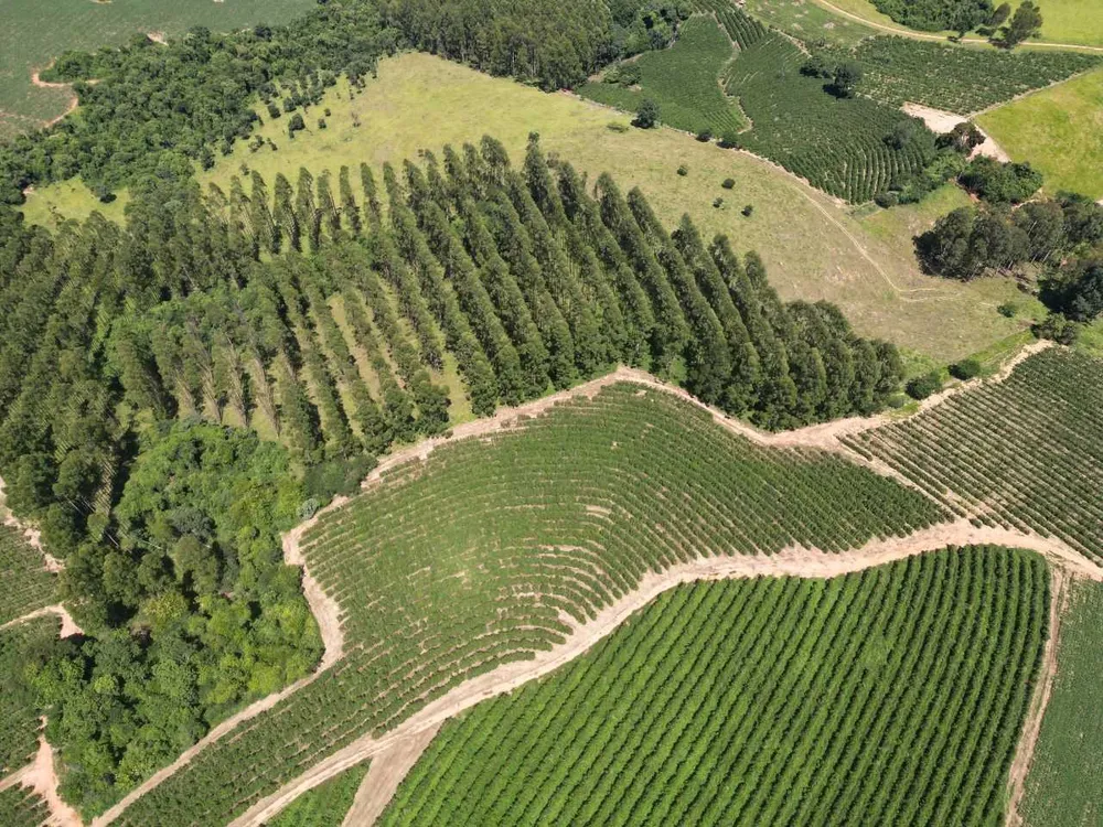 Fazenda, 79 hectares - Foto 5